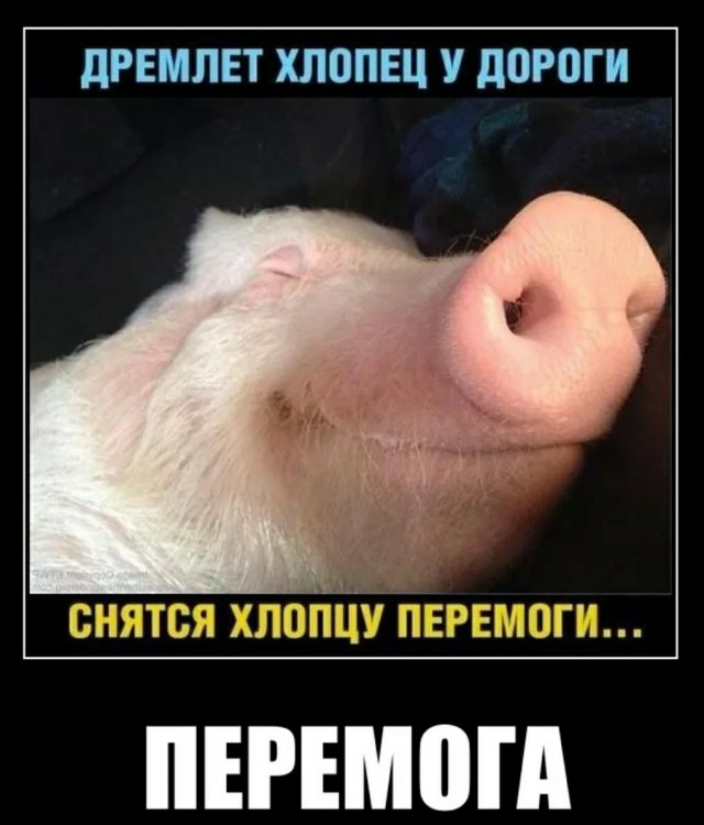 Российские войска блокировали Угледар и Новомихайловку