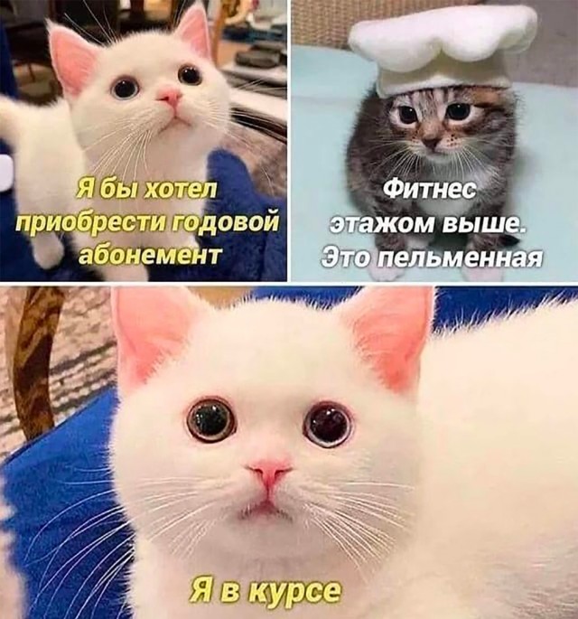 Так себе картинки 04.05.22