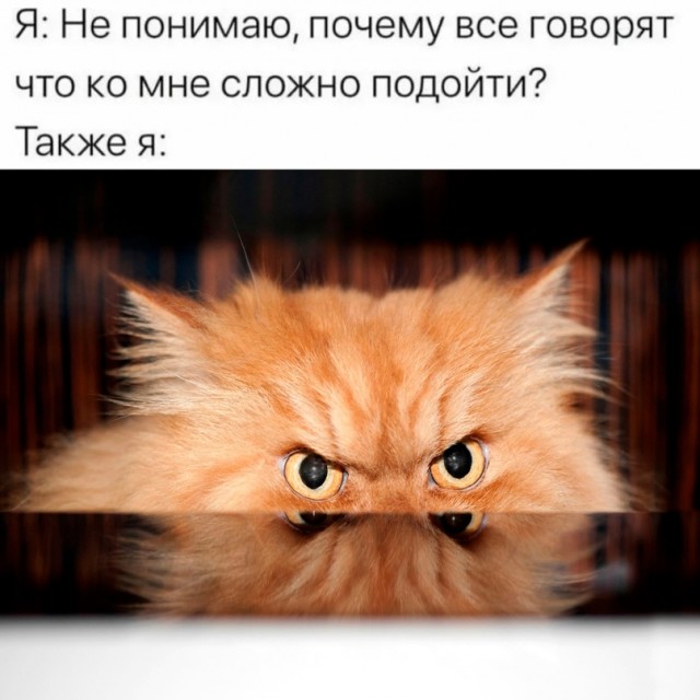 Картинки и мемы для настроения - 19