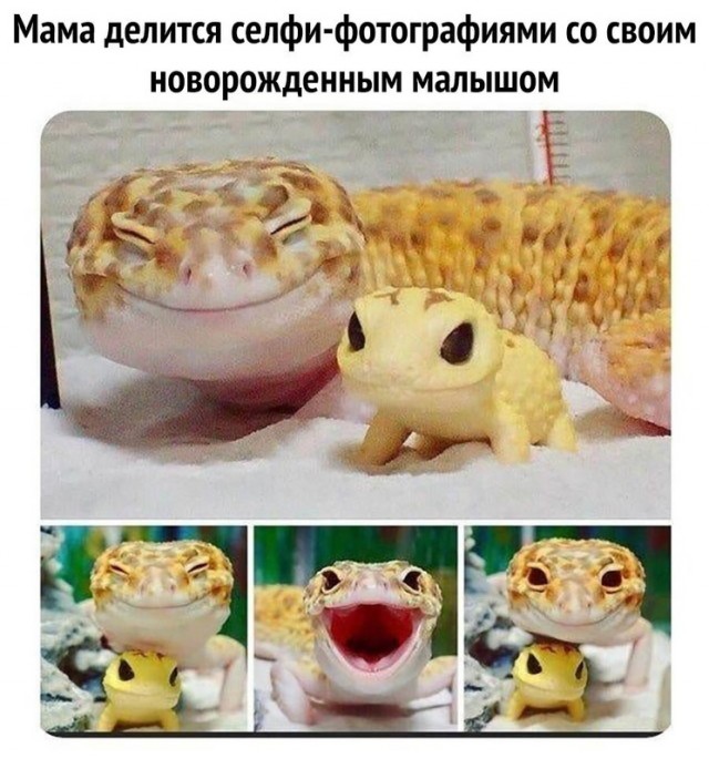 Картинки и мемы для настроения - 31