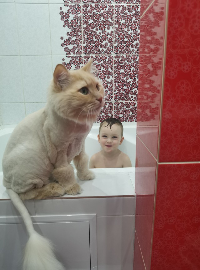 Я спасу тебя