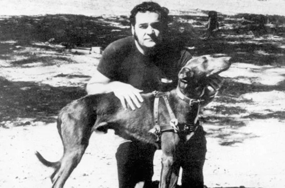 Американская "Кущёвка": нераскрытое убийство, детали которого известны всем