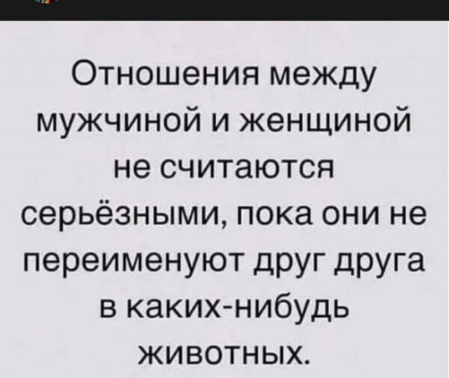 Почему стройняшки хотят парня с зп в миллион