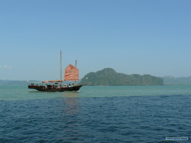 Немного Тая