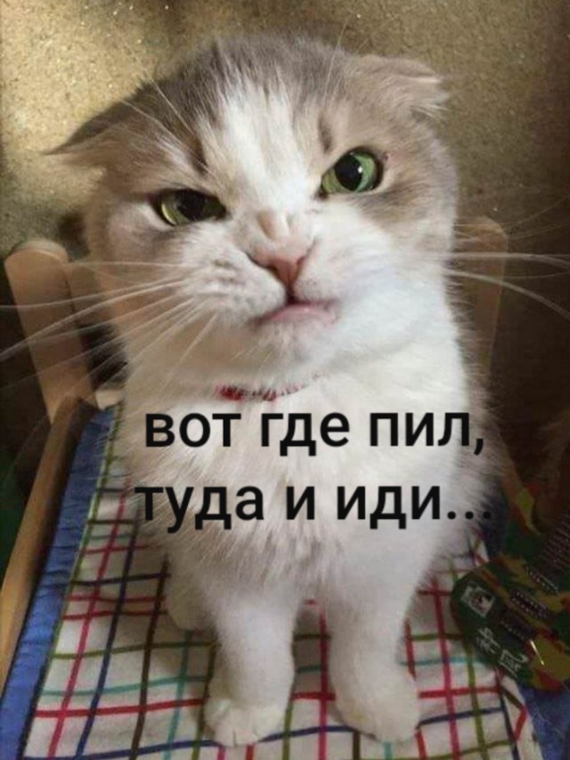 Наташа, я дома!