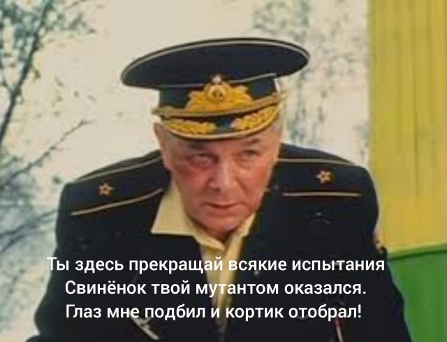 В Дублине ирландец избил и отнял нож у арабского мигранта.