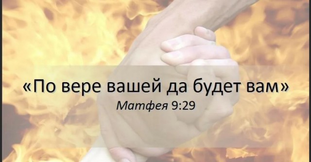 Победная поступь идиотизма по планете – том 11
