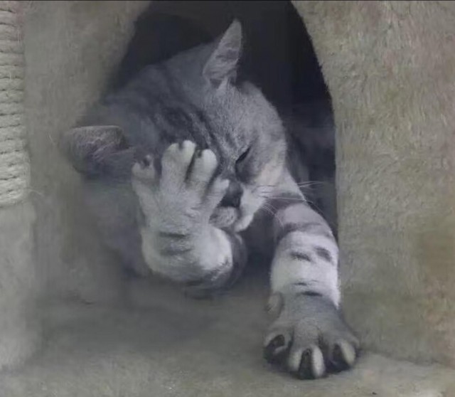 Подборка интересных и прикольных фото из Сети 01.04.23