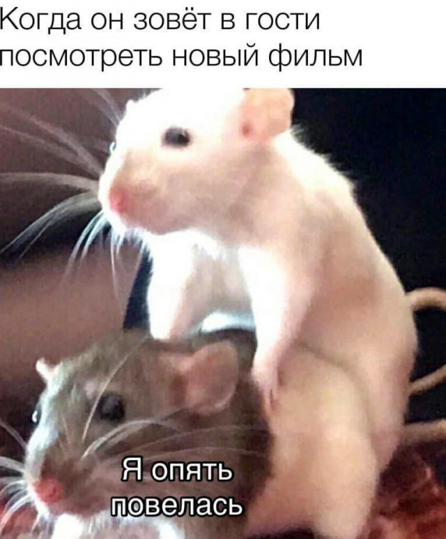 Немного наркоза