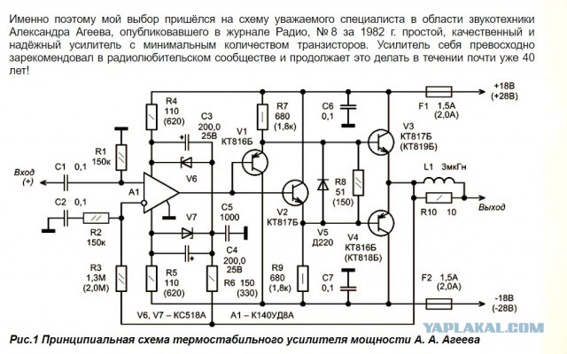 Массовое отравление собак