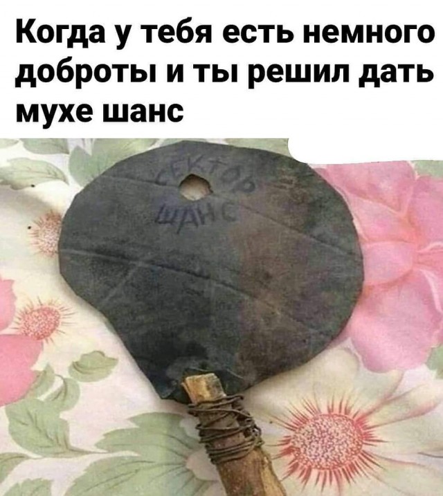 Отзыв на мухобойку