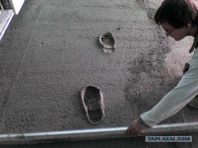 Залил стяжку пола