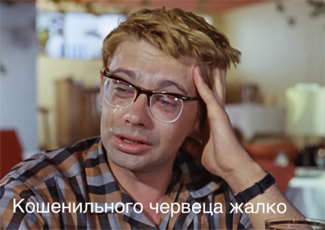 Кошениль