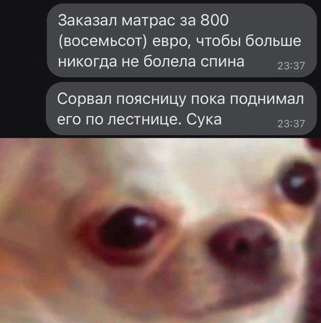 Так себе картинки 06.10.23