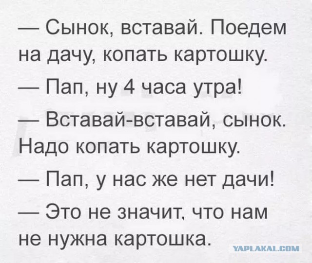 Забавные картинки ...