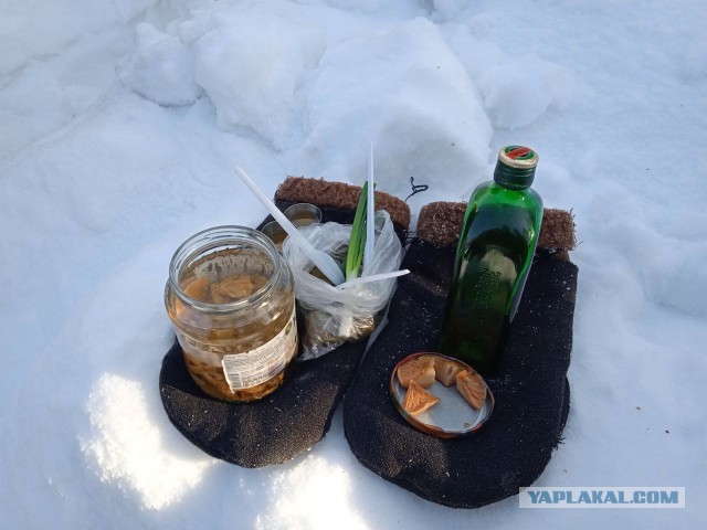 Открыл сезон