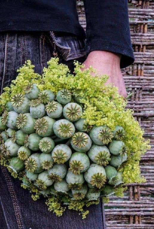 Пятничное улыбательное