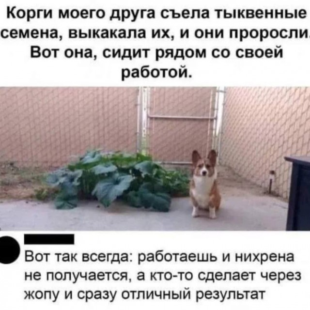 Завалялось тут случайно немного забавных картинок