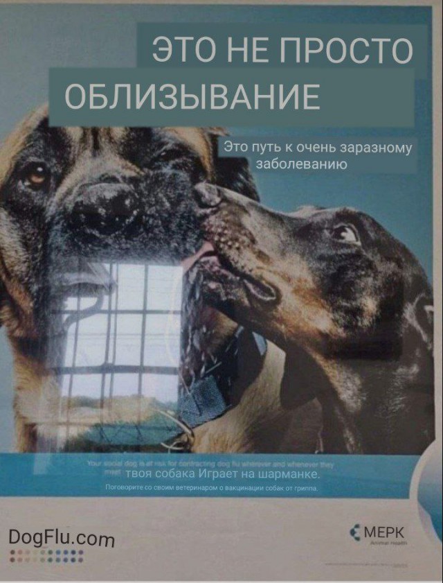 Ковид, Цифровая валюта и прочие радости