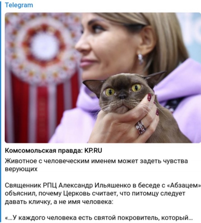 Как хочсу