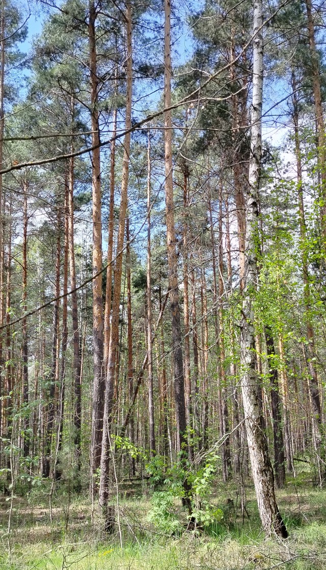 Разбавим политоту и жесть природой