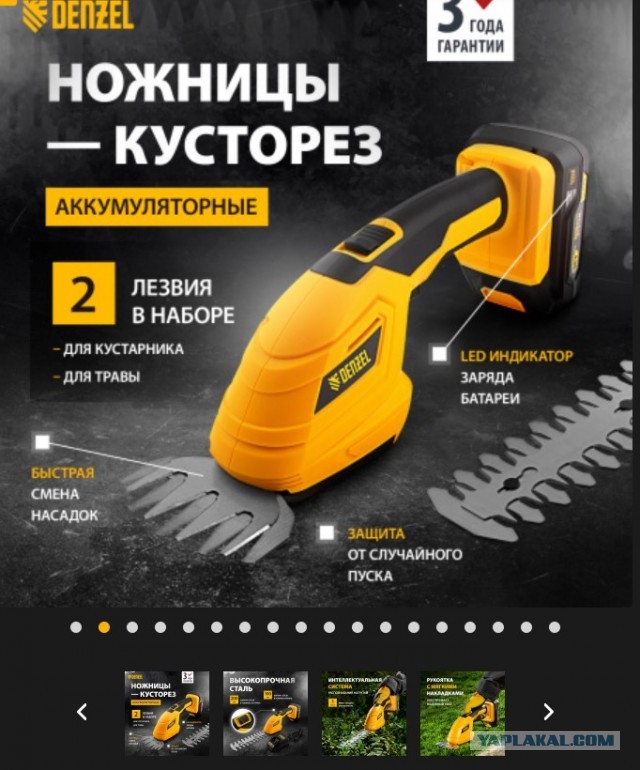 Роза-брюква