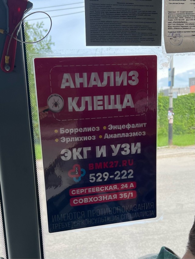 А что вы сделали для своего клеща?