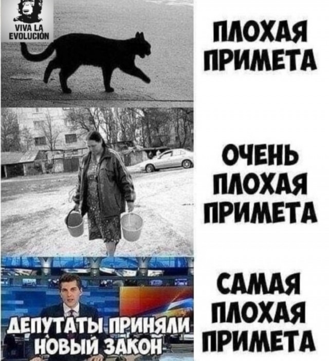 Картинки для деградации 20 (разной степени свежести)