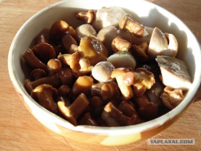 Лисички маринованные, Запасаюсь на зиму