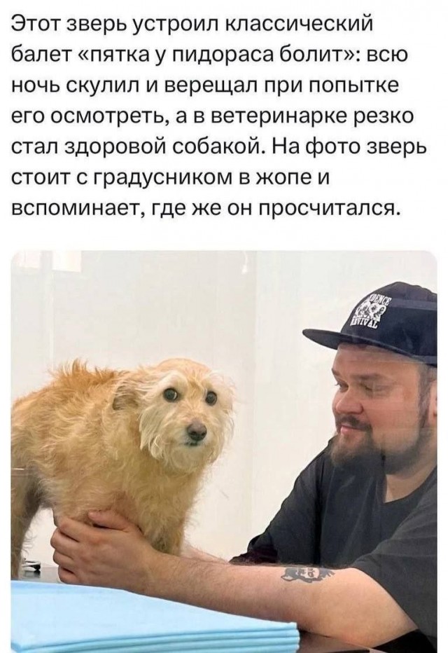 Весёлый полтишок 19.08.25