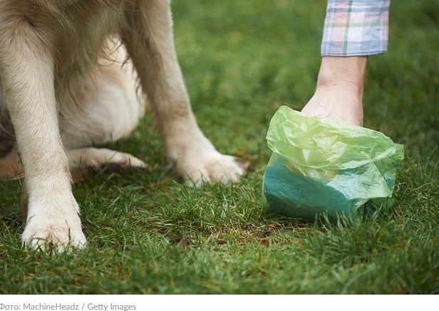 Мужчина технично отомстил хозяйке испражнявшегося на его газон пса