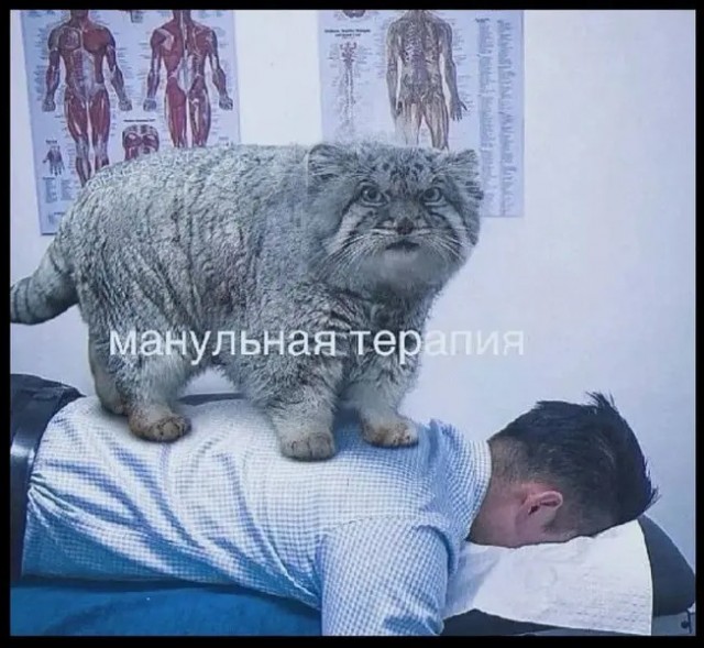 Для настроения