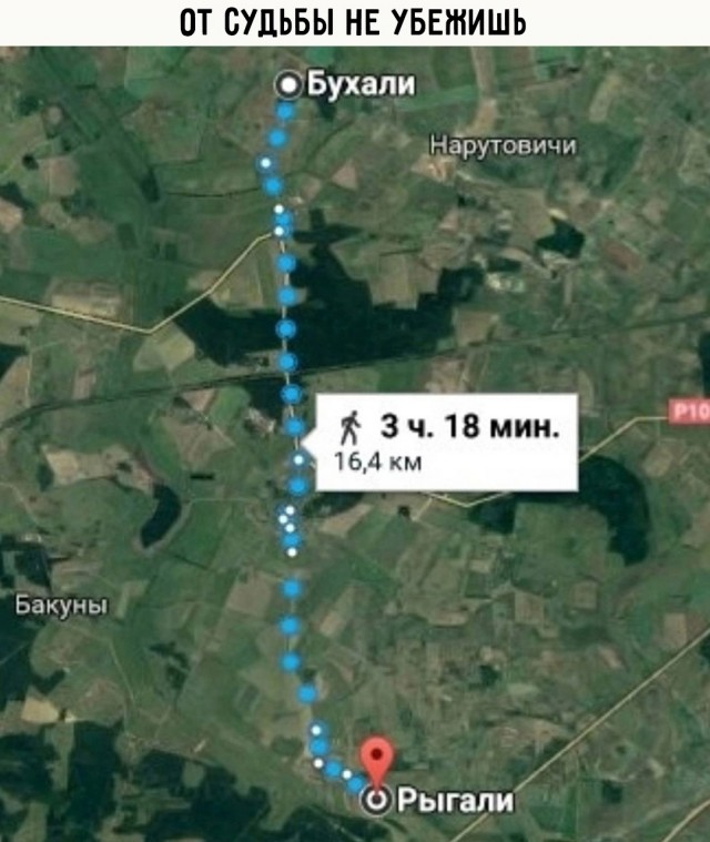 Так себе картинки 03.09.25