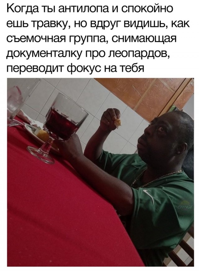 Воздушная атака леопарда.