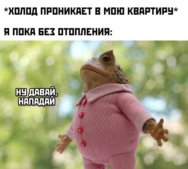 Веселые картинки в понедельник (29.09)