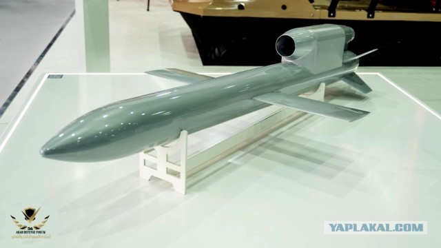 Украина начала использовать новые крылатые ракеты «Фламинго» для ударов вглубь России, — The Economist