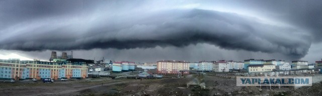 Лето пахнет льдом