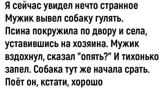 Так себе картинки 28.10.25