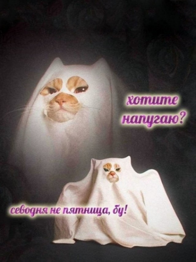 Пятница - день, когда даже воздух пахнет свободой