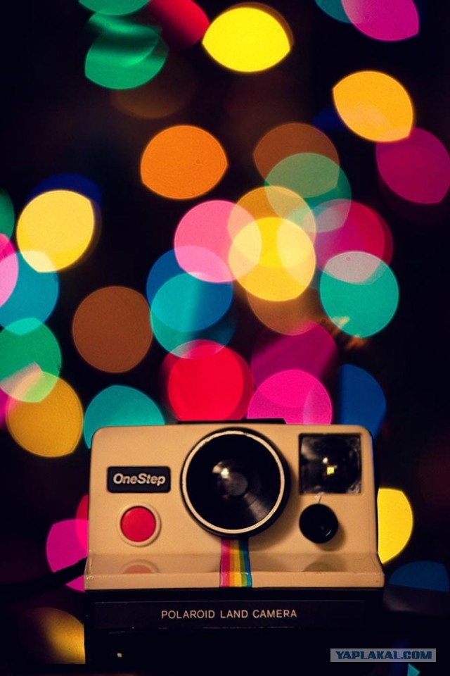 Факты о Polaroid