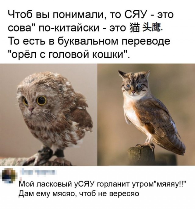 Картинки для деградации 112 (разной степени свежести)