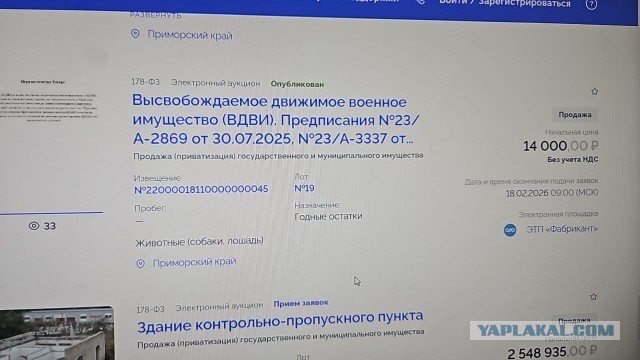 Сдали как стеклотару. В Петербурге нашли 20 сейфов с десятками уголовных дел и изъятым оружием
