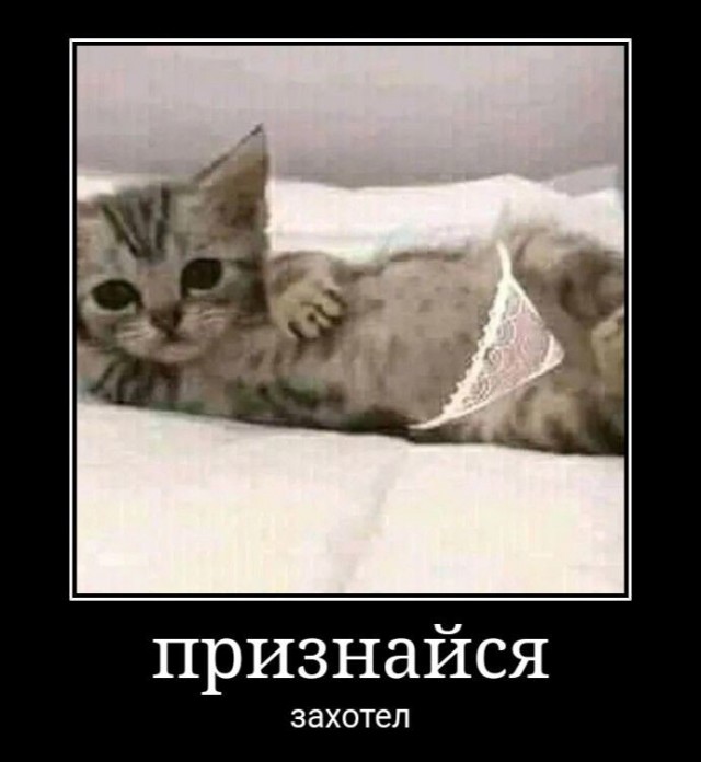 Среды картинки