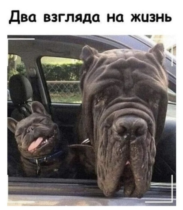 Картиночки, баянчики 30 апреля