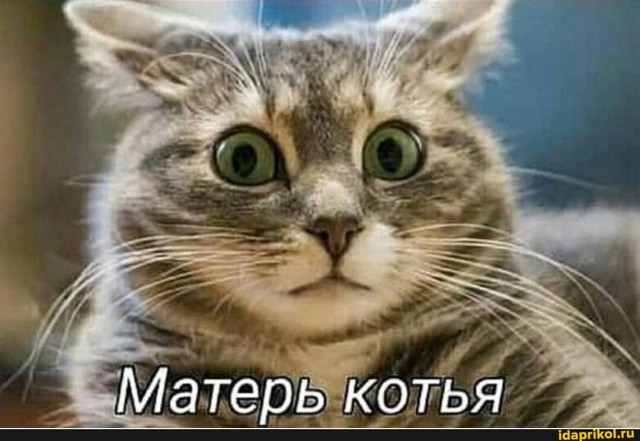 Страшно, очень страшно