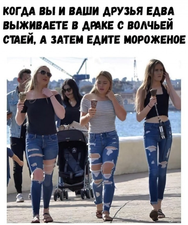 Веселые картинки в пятницу (25.09)