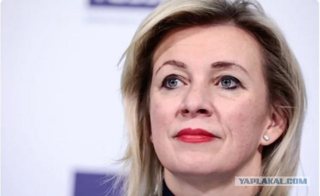 Как в душу смотрит, и где они их только находят