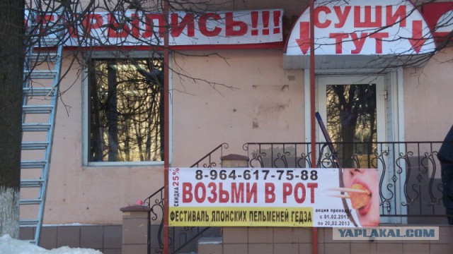 Маразмы года 2013