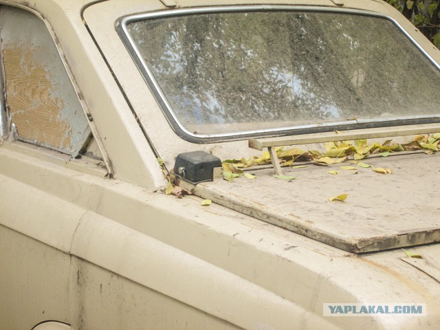Нашел в кустах