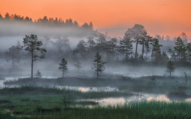 National Geographic,избранное...